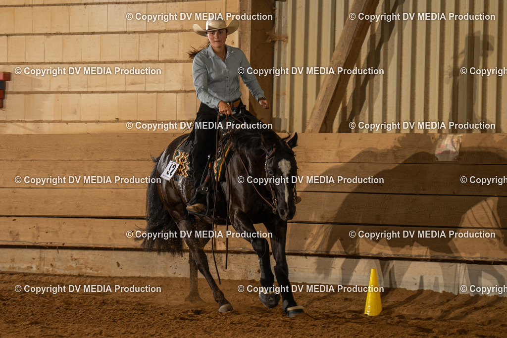 NID01984 | dv-media-shop - Realisiert mit Pictrs.com