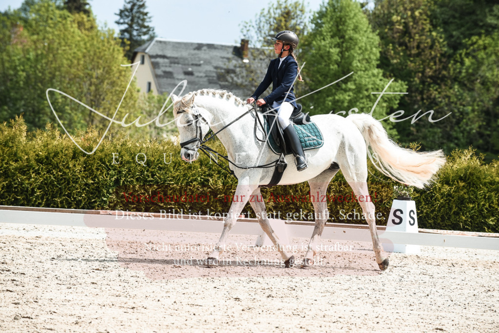 20230518_JK-Röhrsdorf-11-0397 | Pferde- und Turnierfotografie in Westsachsen. Pferdeportraits, Auftragszeichnungen und intuitive Kunst.