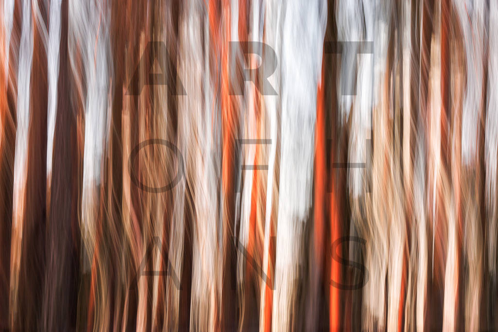 Ein Hans Fineart Original | Entdecke die Kunst von Hans Fineart - Fotografien für dein Zuhause. Verwandle deine Wände mit einzigartigen Kunstwerken und bringe die Schönheit der Welt in dein Leben. Bestelle jetzt und schaffe einen Ort der Inspiration und Eleganz.