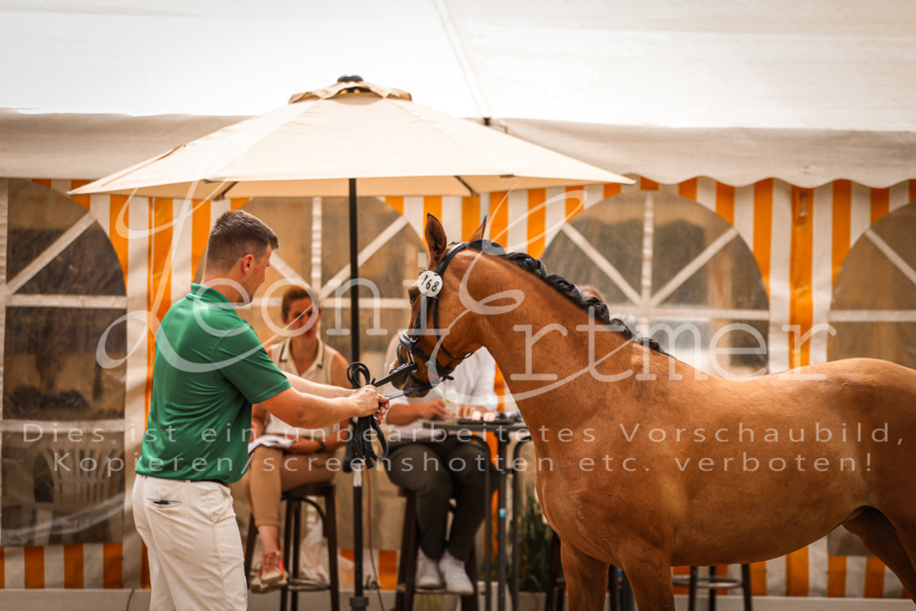 11.So00041 | Leoni Ertmer Photography - Realisiert mit Pictrs.com