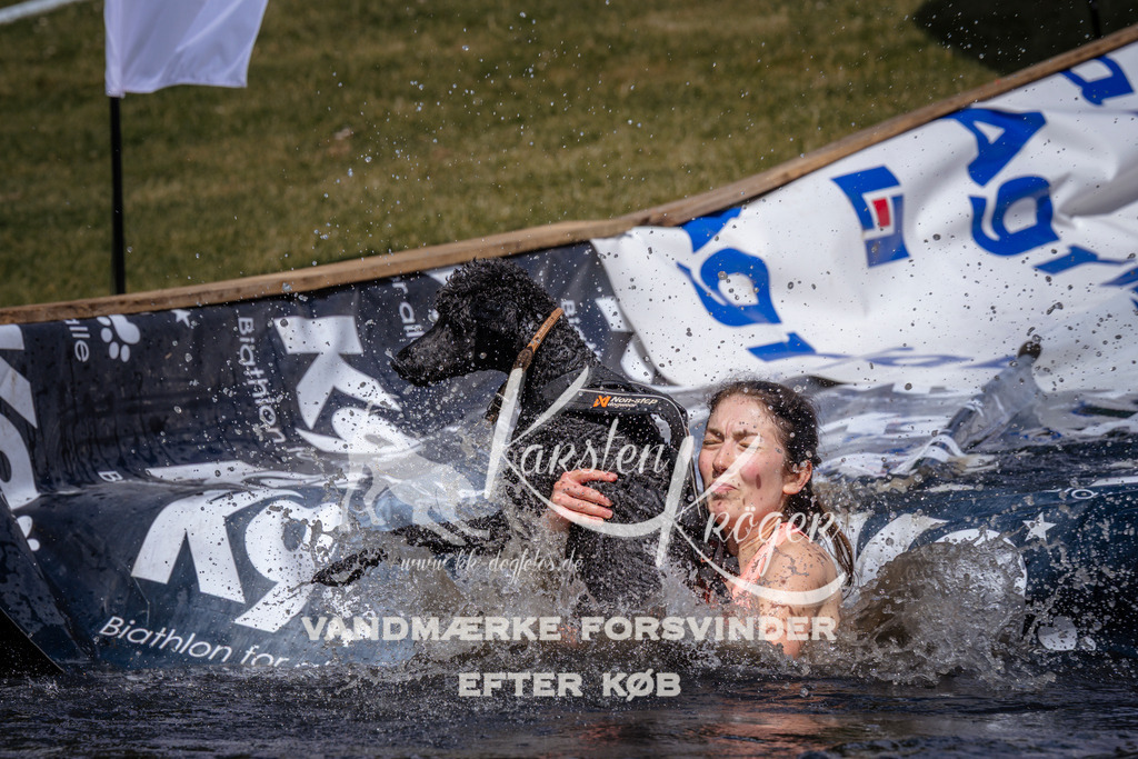 _ZZ933380937 | kk-dogfotos