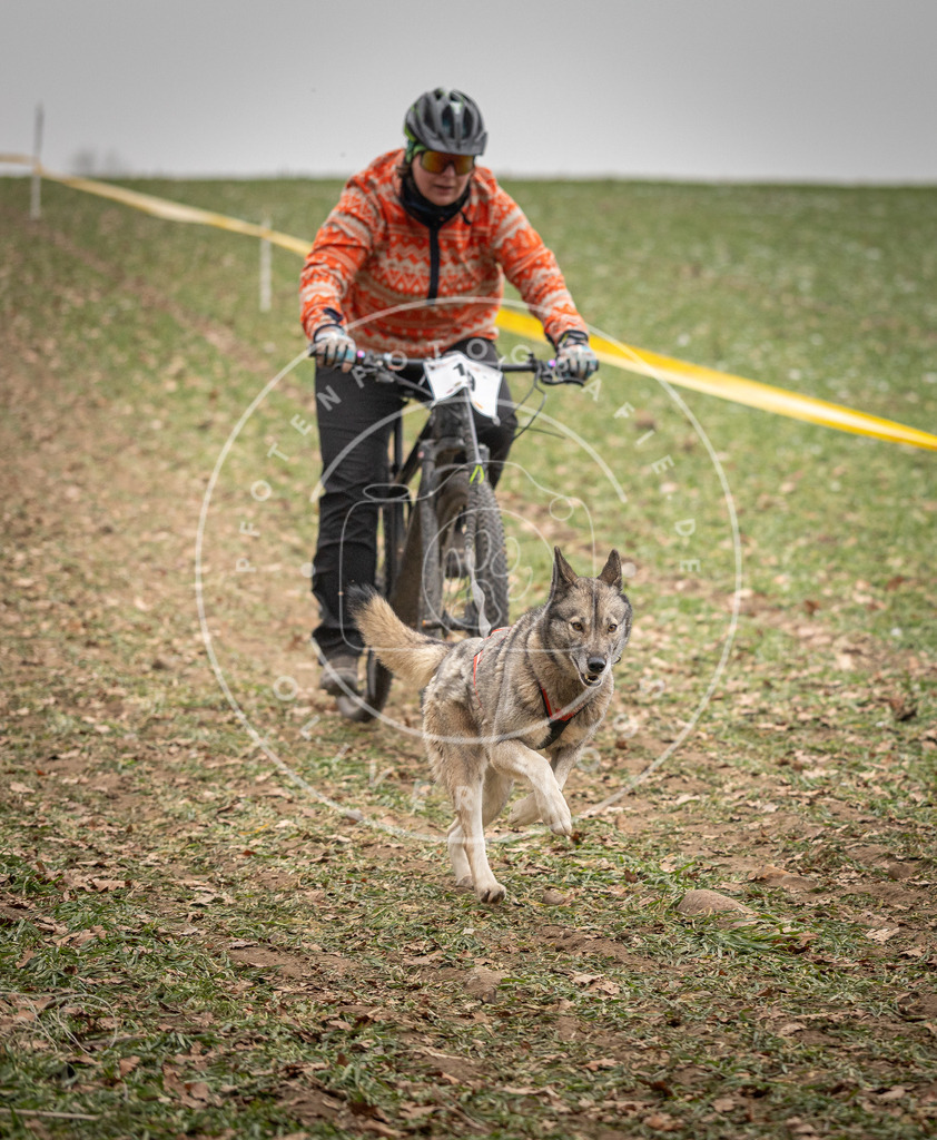 Pfotenfotografie_DV3A3215 | Hundefotografie, Tierfotograf, Pfotenfotografie, Fotoshooting Hund, Hunde Portrait, Hundesport, Hundeportraits, Heideshooting, Hunde, Sportfotograf, Hundefotograf, Turnierhundsport, THS,  - Realisiert mit Pictrs.com