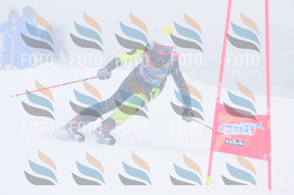 C3493 | holidayphoto