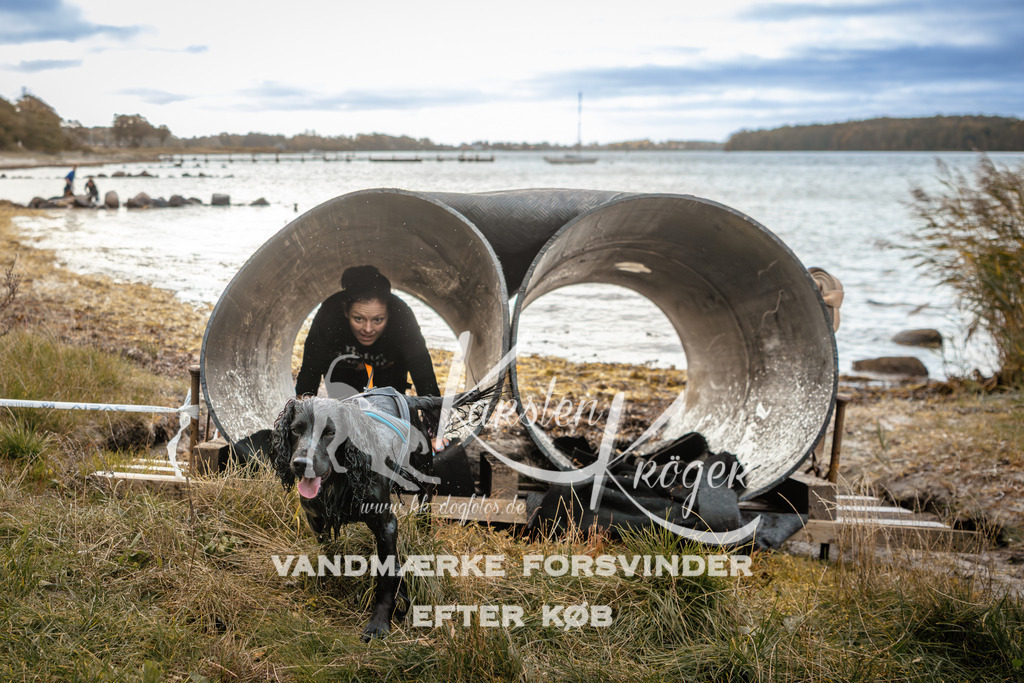 0916_ZZ96541 | kk-dogfotos