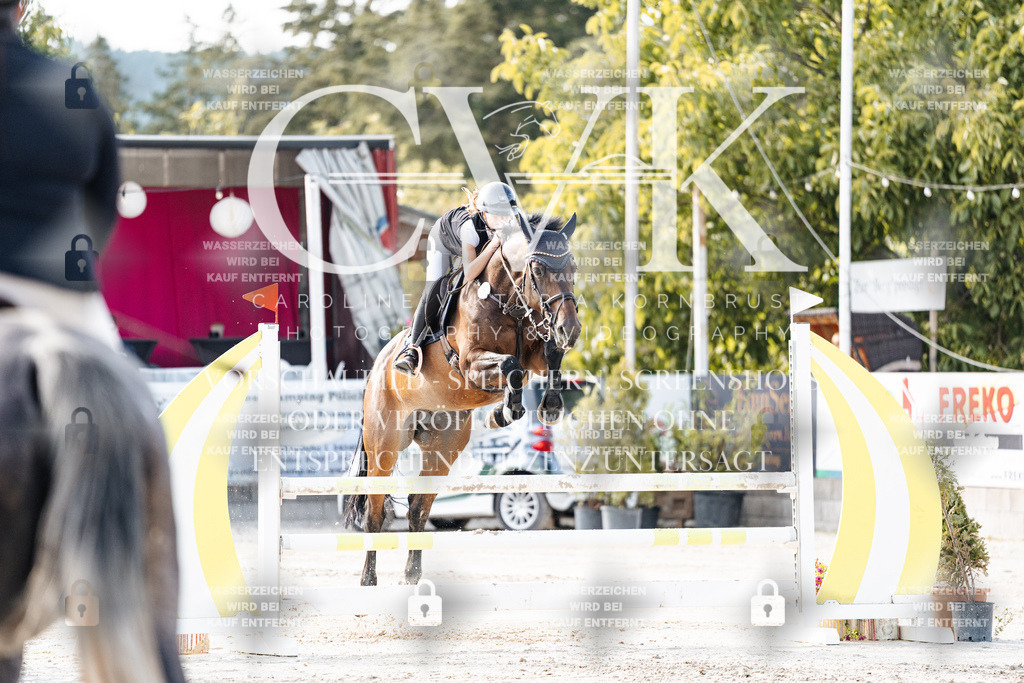 CK906206 | Turnierfotografie Pferdefotografie Trier Rheinland-Pfalz Pferdesport Reitsport Tierfotografie Sportfotografie Pferdevideo Pferdevideografie Equestrianvideography equestrianphotography  - Realisiert mit Pictrs.com