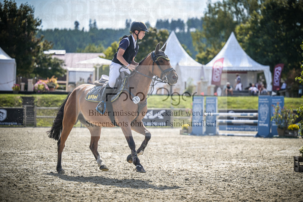 DOS_8616 | Entdecke hochwertige Reitturnierfotos von Foto Oger. Professionell, emotional und authentisch – jetzt Lieblingsmomente im Shop bestellen.Deutschlandweite Turnierfotografie. - Realisiert mit Pictrs.com