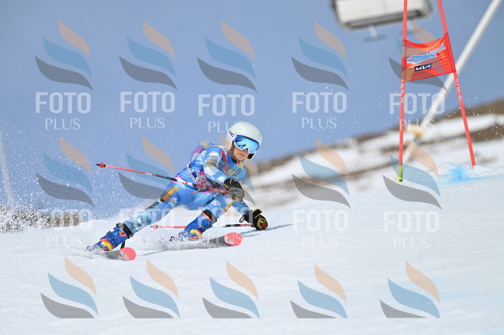 BGV_2961 | holidayphoto