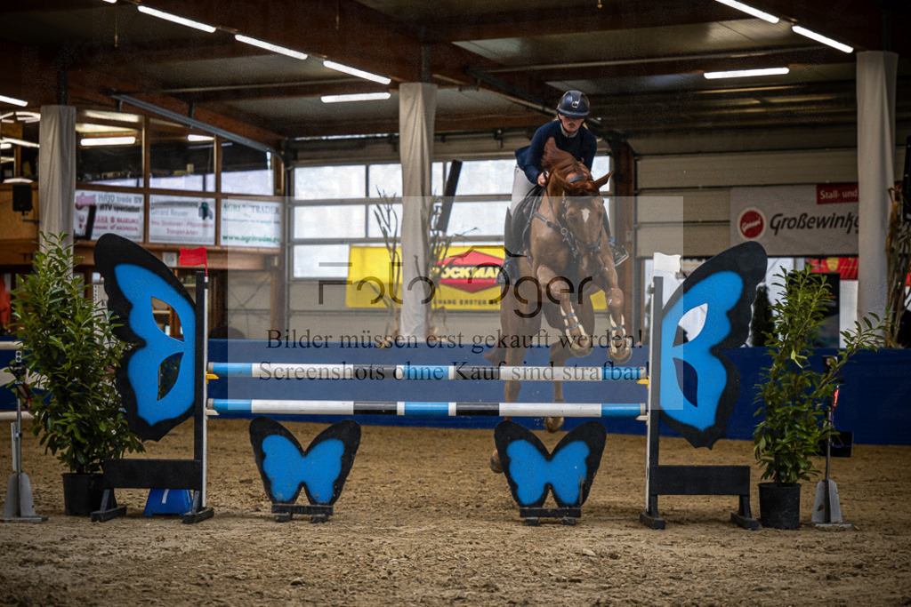DOS_B1361 | Entdecke hochwertige Reitturnierfotos von Foto Oger. Professionell, emotional und authentisch – jetzt Lieblingsmomente im Shop bestellen.Deutschlandweite Turnierfotografie. - Realisiert mit Pictrs.com