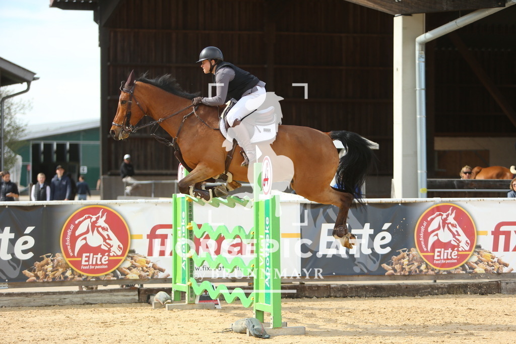 DL2Q6475 | Willkommen bei Brunnmayr - Design & Fotografie – Ihrem Spezialisten für Reitturniere und Pferdeveranstaltungen in Oberösterreich, Salzburg und Bayern! Seit über 17 Jahren sind wir leidenschaftlich dabei.