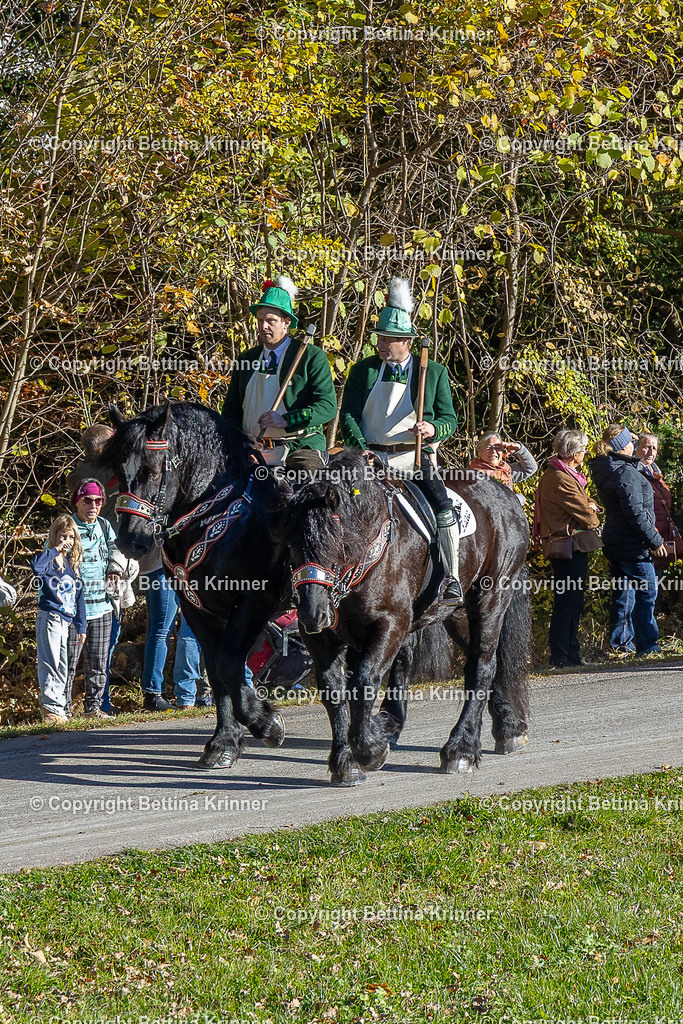 LBT25-347 | foto-bettina-krinner - Realisiert mit Pictrs.com