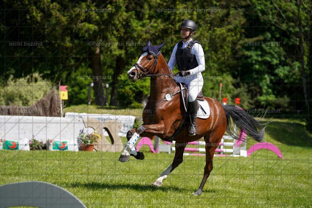 20240518-FAH03182 | rbilder, Turnierfotografen ayern, Fotoagentur Herrmann, Geländeturnier, Springbilder, Dressurbilder, Jungpferdefotograf