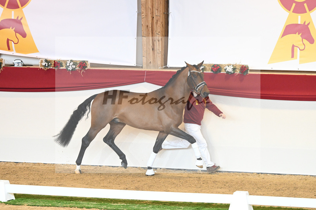 Kat-Nr. 77 Vitalis_Bock_1230536 | hf-fotografie - Realisiert mit Pictrs.com