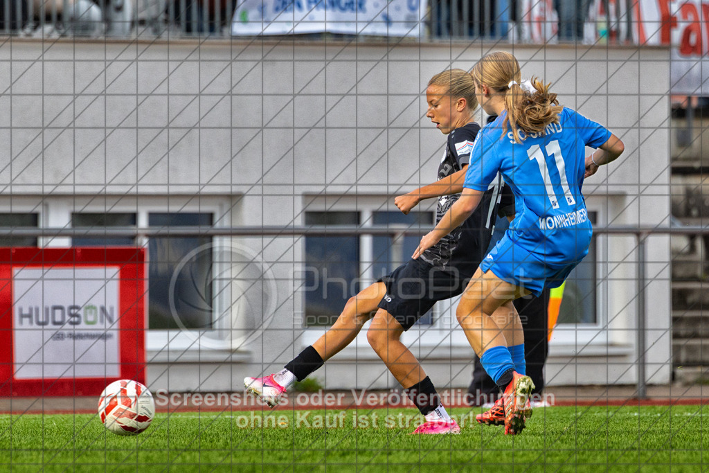 20261010_141832_0659-Bearbeitet_(c)_by_PhotoPeet | 3