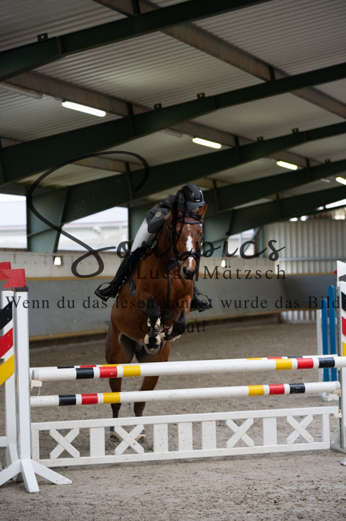 A7V04426 | Pferdefotograf