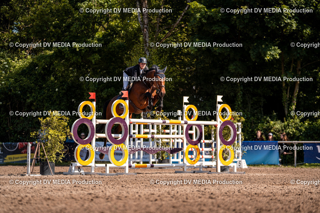 Eppelheim Tag 3-917 | dv-media-shop - Realisiert mit Pictrs.com