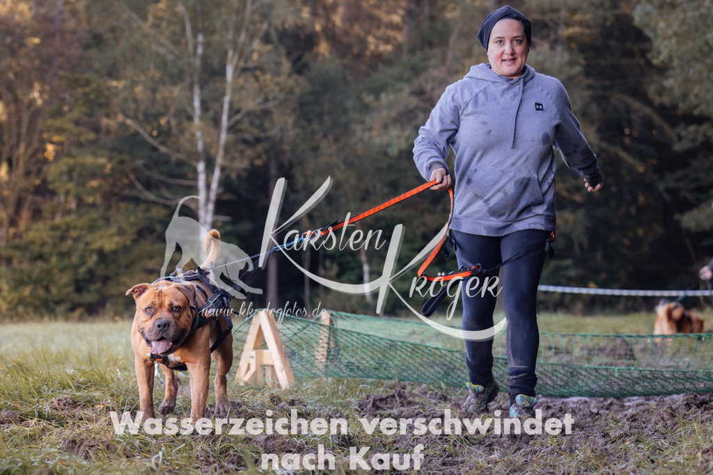 1013_ZZ90689 | kk-dogfotos