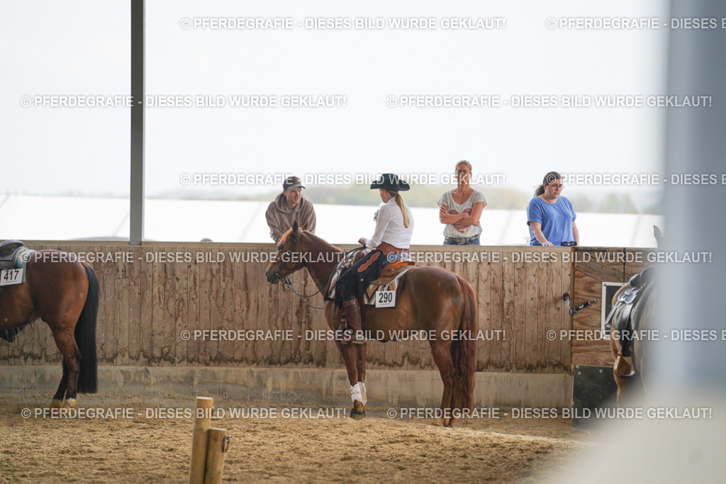 DSC06359 | Pferdegrafie