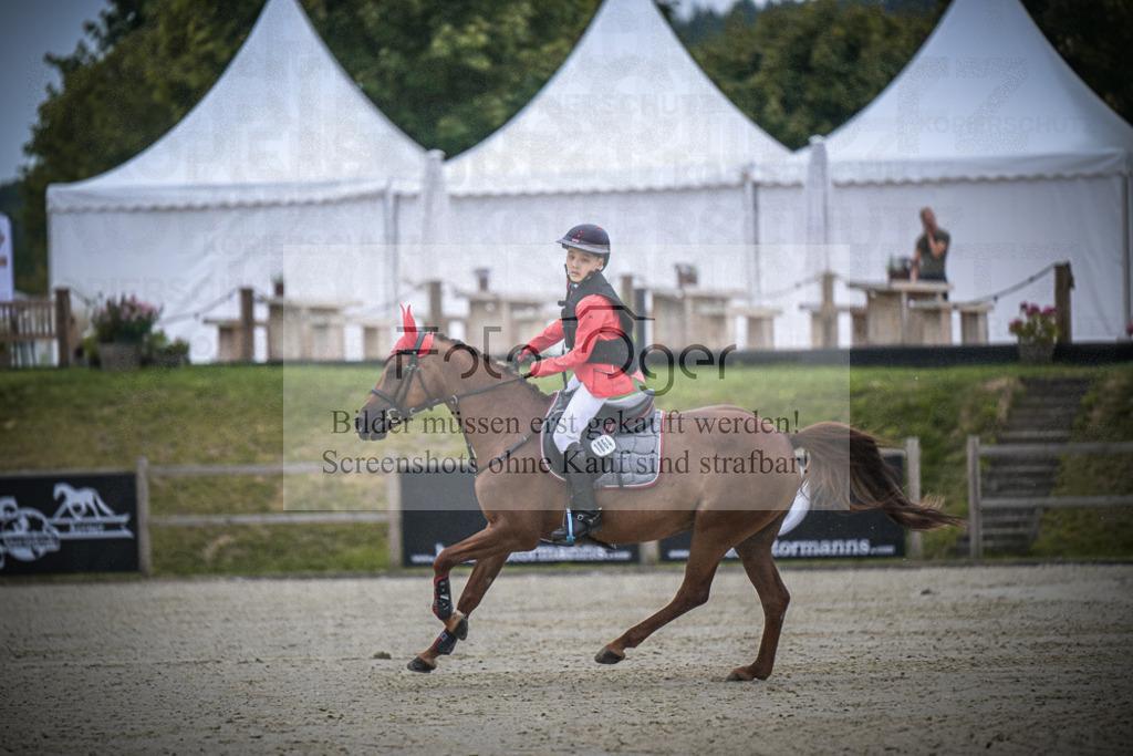 DOS_0027 | Entdecke hochwertige Reitturnierfotos von Foto Oger. Professionell, emotional und authentisch – jetzt Lieblingsmomente im Shop bestellen.Deutschlandweite Turnierfotografie. - Realisiert mit Pictrs.com