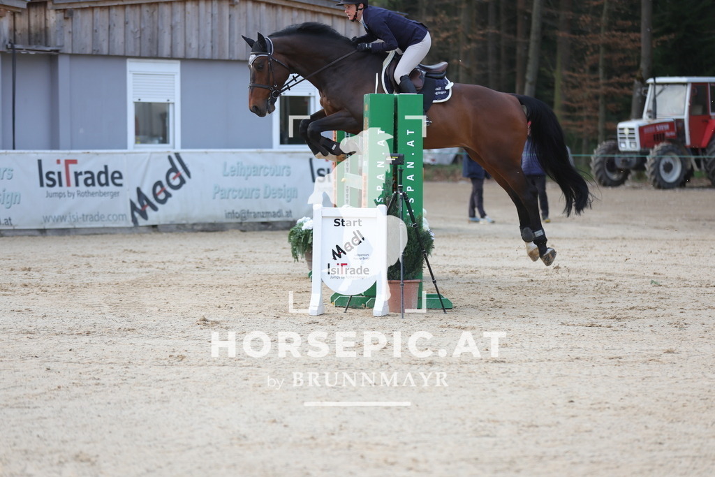 0P6A2877 | Willkommen bei Brunnmayr - Design & Fotografie – Ihrem Spezialisten für Reitturniere und Pferdeveranstaltungen in Oberösterreich, Salzburg und Bayern! Seit über 17 Jahren sind wir leidenschaftlich dabei.