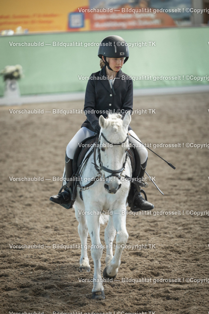 _D5A8769 | Emotionale Pferde- & People-Fotografie rund um Heidelberg, Leimen & Umgebung. Natürliche Fotos von Pferd, Mensch & Familie. Jetzt Termin sichern!