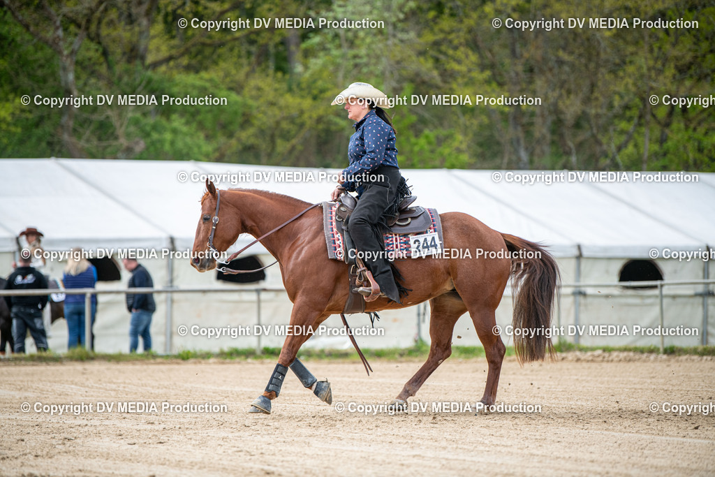 Heiligenwald Tag 2-2204 | dv-media-shop - Realisiert mit Pictrs.com