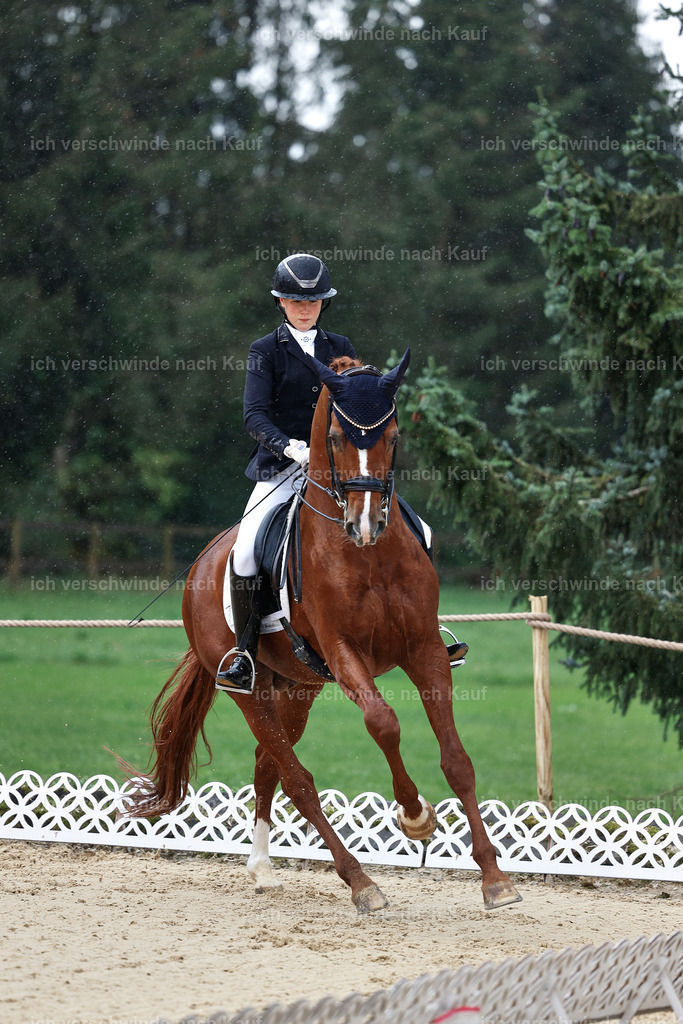 05-223-DRESSUR M_  -StoibPH-4885 | working equitationturnier fotograf videograf stoibphotography marixx film working equitation deutschland reitsport turnierfotografie eventfotografie equestrian events