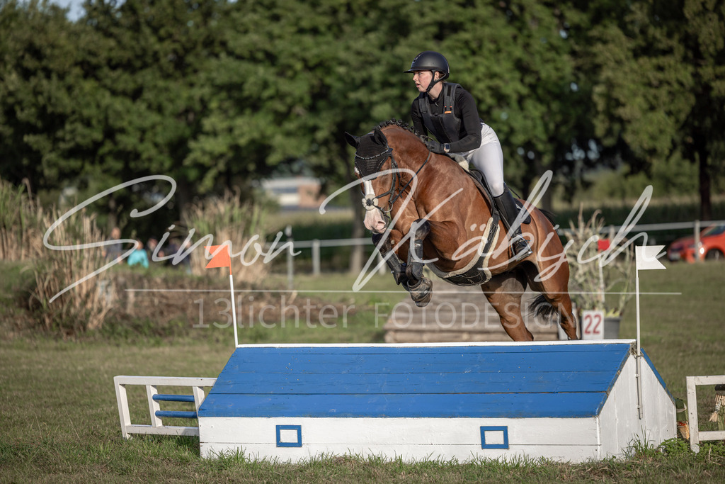 20250907-_3LI8427 | Tierfotografie Pferde, Hunde, Katzen, Haustiere.
Turnierfotografie Reitturniere, Reiten, Springreiten, Dressur in Hanau, dem Main-Kinzig-Kreis und dem Rhein-Main- Gebiet um Frankfurt