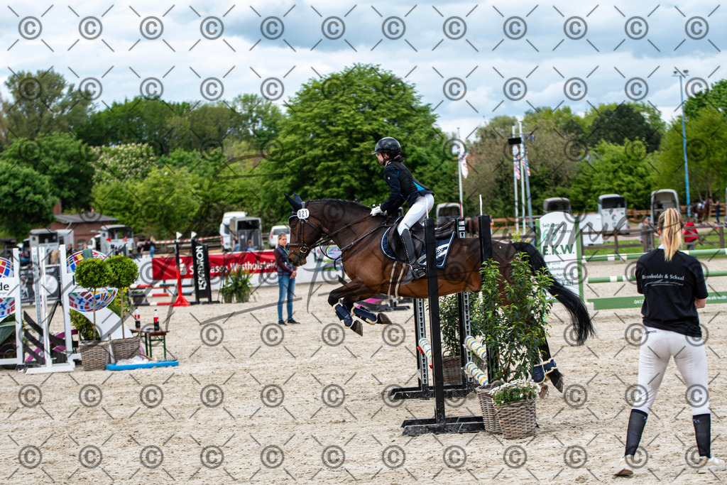 KPT_5901 | andre_photographic