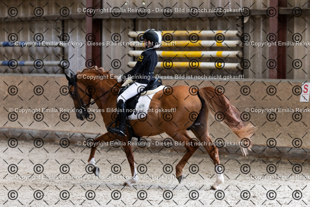 CL5A4052 | Emilia Reinking Fotografie - Realisiert mit Pictrs.com