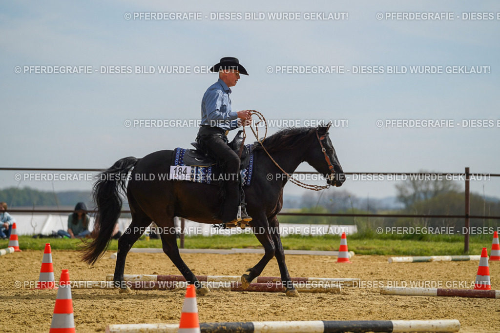 DSC02027 | Pferdegrafie