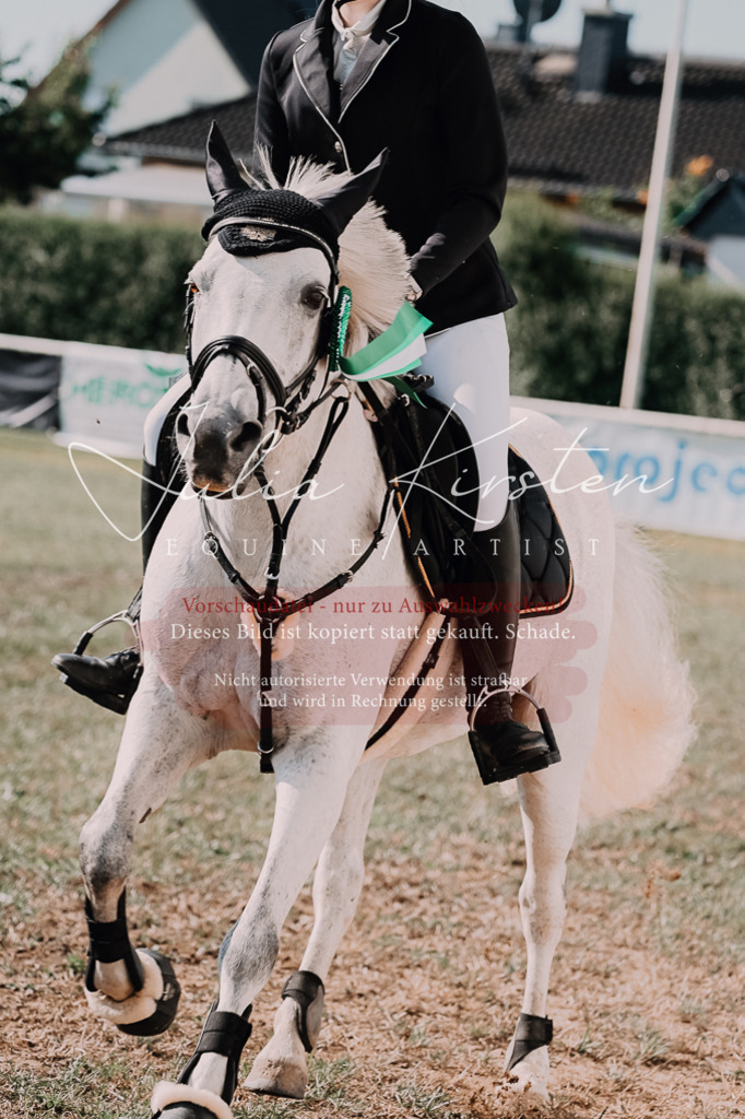 DSC_4956 | Pferde- und Turnierfotografie in Westsachsen. Pferdeportraits, Auftragszeichnungen und intuitive Kunst.