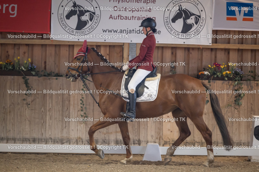 _D5A2082 | Emotionale Pferde- & People-Fotografie rund um Heidelberg, Leimen & Umgebung. Natürliche Fotos von Pferd, Mensch & Familie. Jetzt Termin sichern!