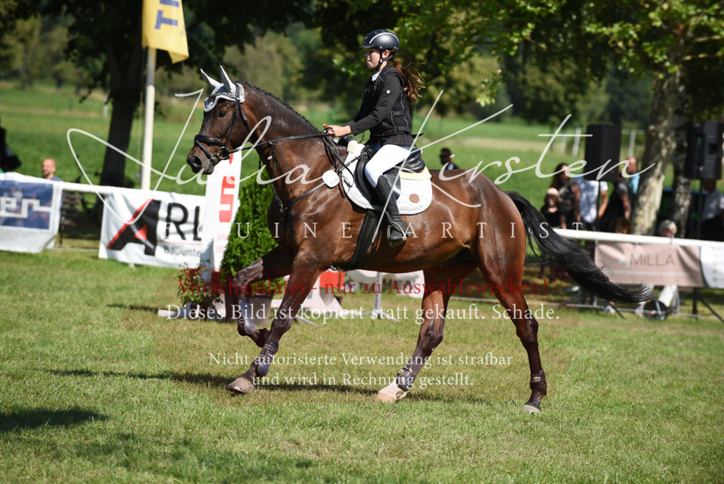 DSC_9447 | Pferde- und Turnierfotografie in Westsachsen. Pferdeportraits, Auftragszeichnungen und intuitive Kunst.