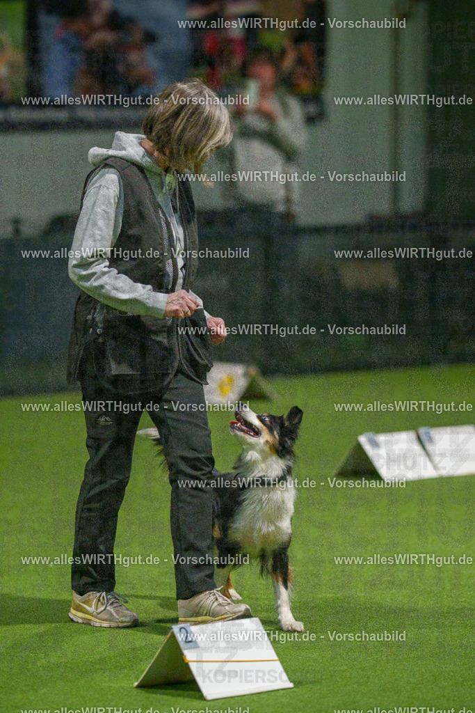 7R508976 | Professionelle Tierfotografie in Mönchengladbach von Daniel Wirth (allesWIRTHgut). Liebevolle & natürliche Bilder von Hunden & Katzen für unvergessliche Erinnerungen.