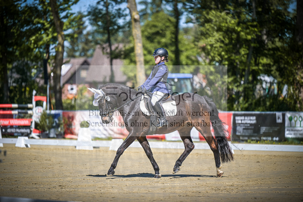 DOS_7977 | Entdecke hochwertige Reitturnierfotos von Foto Oger. Professionell, emotional und authentisch – jetzt Lieblingsmomente im Shop bestellen.Deutschlandweite Turnierfotografie. - Realisiert mit Pictrs.com