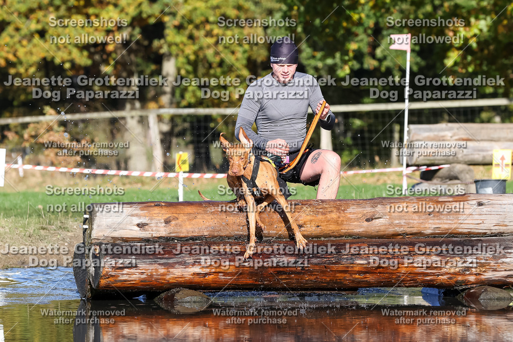 Dog Paparazzi - Strongdog 10-25-8892 | Dog Paparazzi Jeanette Grottendiek Fotografie & Videografie - Realisiert mit Pictrs.com