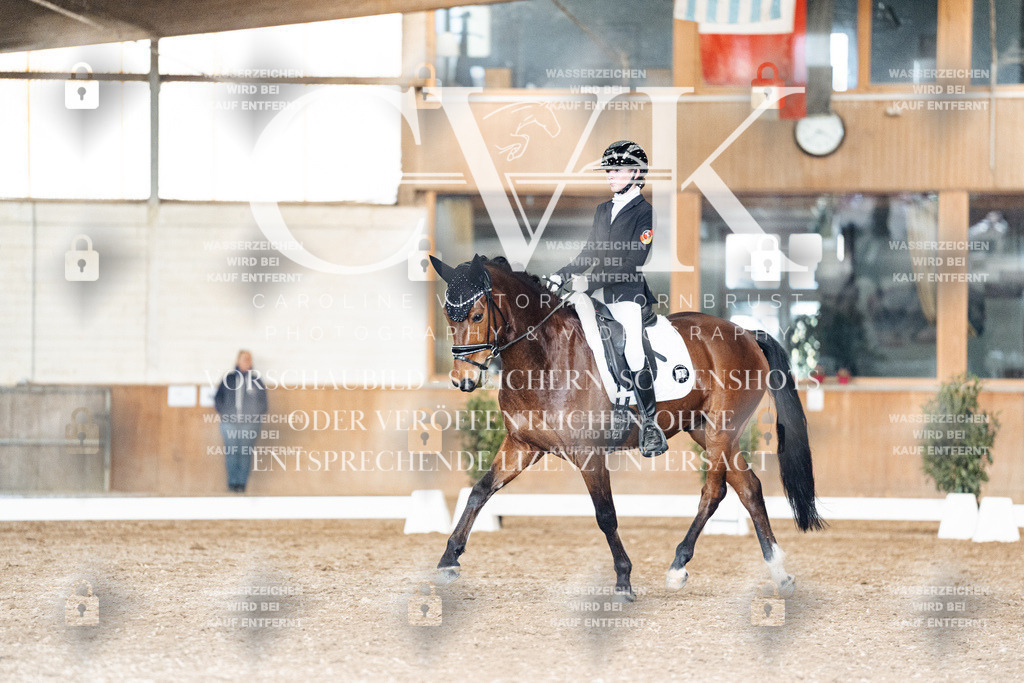 CK901977 | Turnierfotografie Pferdefotografie Trier Rheinland-Pfalz Pferdesport Reitsport Tierfotografie Sportfotografie Pferdevideo Pferdevideografie Equestrianvideography equestrianphotography  - Realized with Pictrs.com