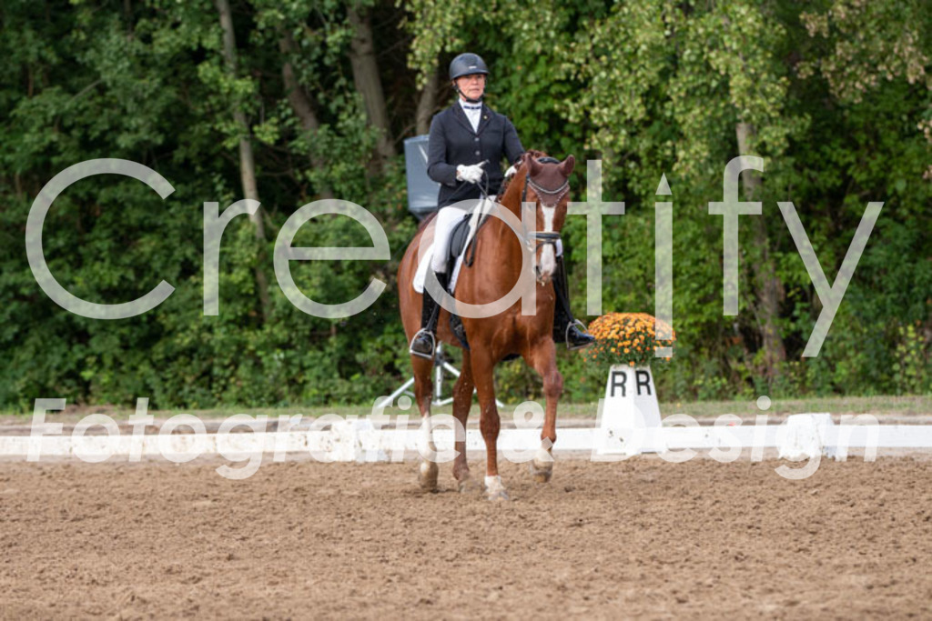 IMG_5002 | Creatify Fotografie