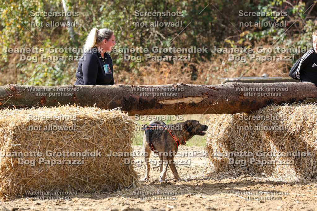 Dog Paparazzi - Strongdog 10-25-5197 | Dog Paparazzi Jeanette Grottendiek Fotografie & Videografie - Realisiert mit Pictrs.com