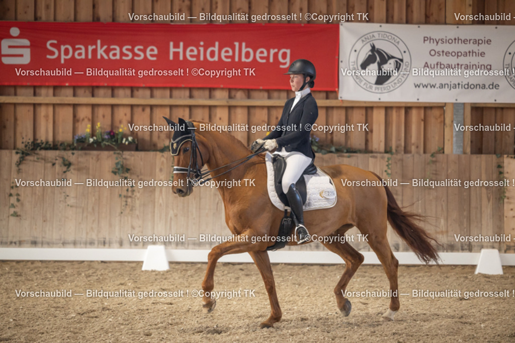 _D5A2761 | Emotionale Pferde- & People-Fotografie rund um Heidelberg, Leimen & Umgebung. Natürliche Fotos von Pferd, Mensch & Familie. Jetzt Termin sichern!