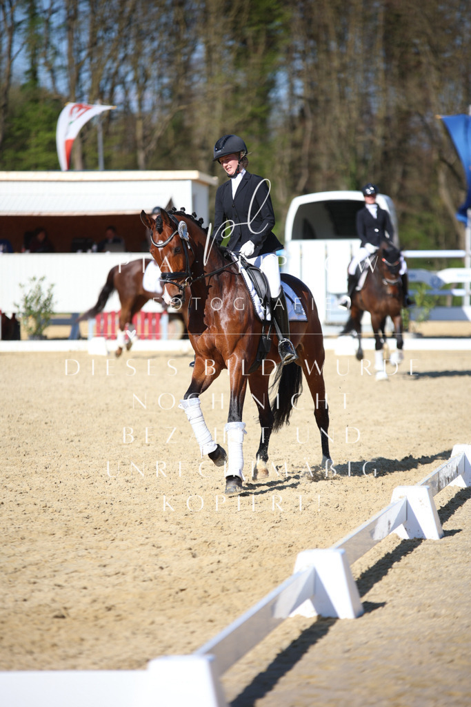 IMGT9161 | pl-fotografie