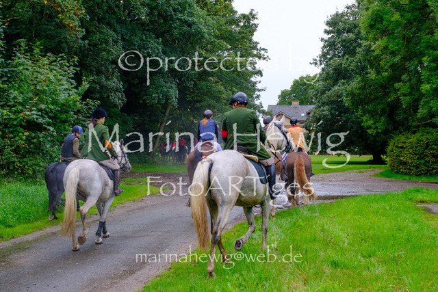Jagd Perdoel 26 Fuji-9806_MarinaHewig | Fotografie, FotoArt, PferdesportArt, Pferdesportfotografie, Landschaftsfotografie, Reisefotografie, Reise, Pferde - Realisiert mit Pictrs.com
