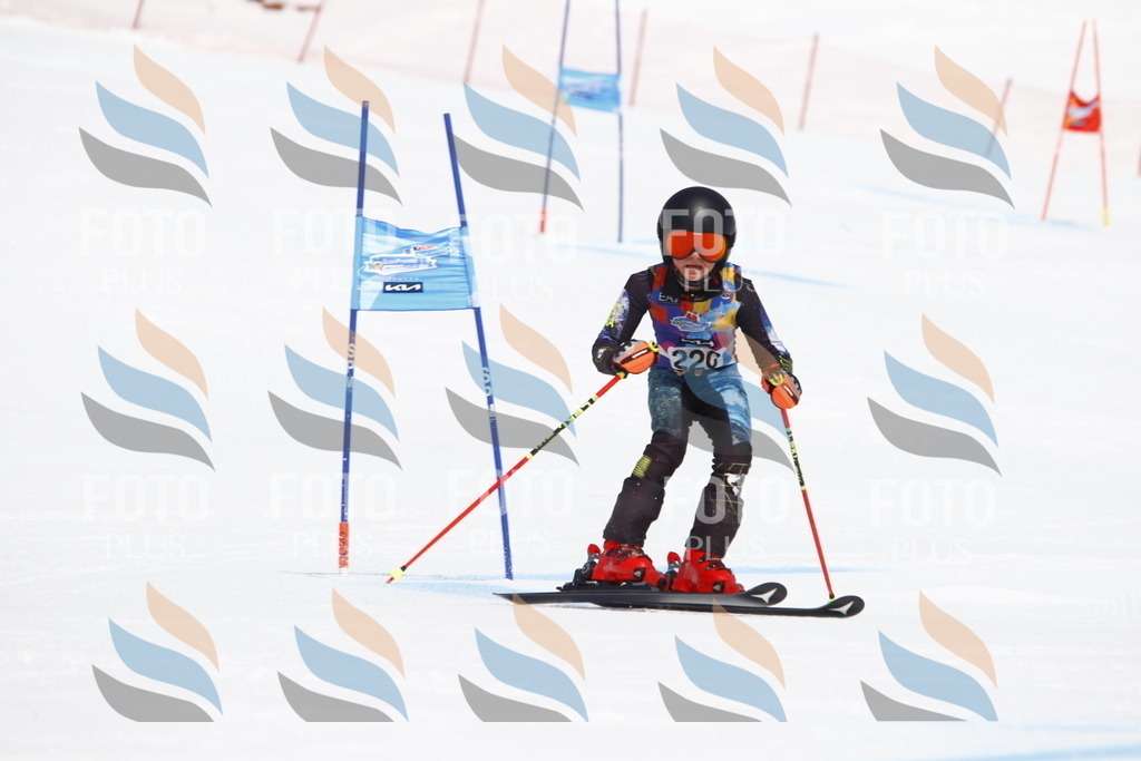 _U3G5672 | holidayphoto