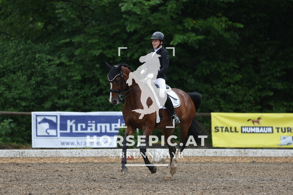 0P6A9147 | Willkommen bei Brunnmayr - Design & Fotografie – Ihrem Spezialisten für Reitturniere und Pferdeveranstaltungen in Oberösterreich, Salzburg und Bayern! Seit über 17 Jahren sind wir leidenschaftlich dabei.