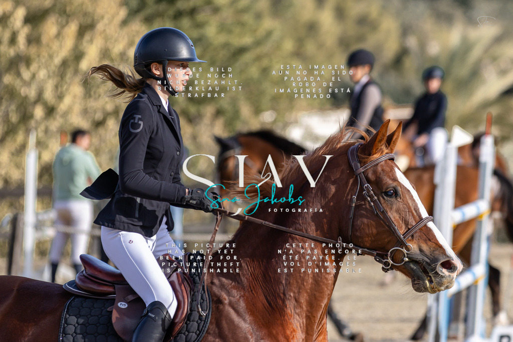 IMG_0406 | s-jay-photography - Realisiert mit Pictrs.com