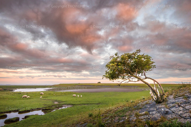 _2920243 | thowehey - Realizado com Pictrs.com