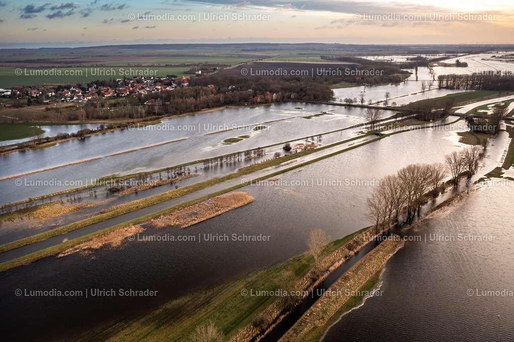 10049-51827 - Hochwasser im Großen Bruch | Stockfoto und Bilderpool mit Bildmaterial aus Deutschland, dem Harz, Halberstadt, Quedlinburg, Wernigerode und weltweit. Qualitativ hochwertige und professionelle Fotos anschauen und kaufen. - Realisiert mit Pictrs.com