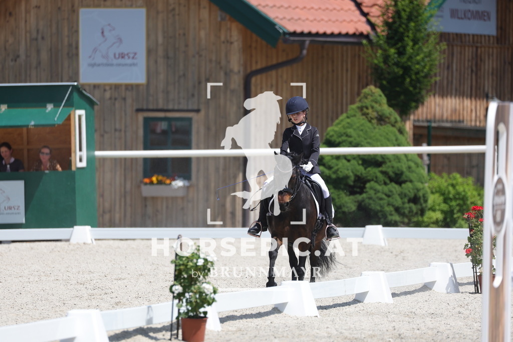 0P6A5901 | Willkommen bei Brunnmayr - Design & Fotografie – Ihrem Spezialisten für Reitturniere und Pferdeveranstaltungen in Oberösterreich, Salzburg und Bayern! Seit über 17 Jahren sind wir leidenschaftlich dabei.