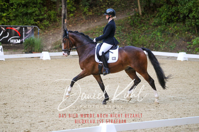 DKP41305 | Turniersportfotografie; Pferdefotografie; Dressurfotografie