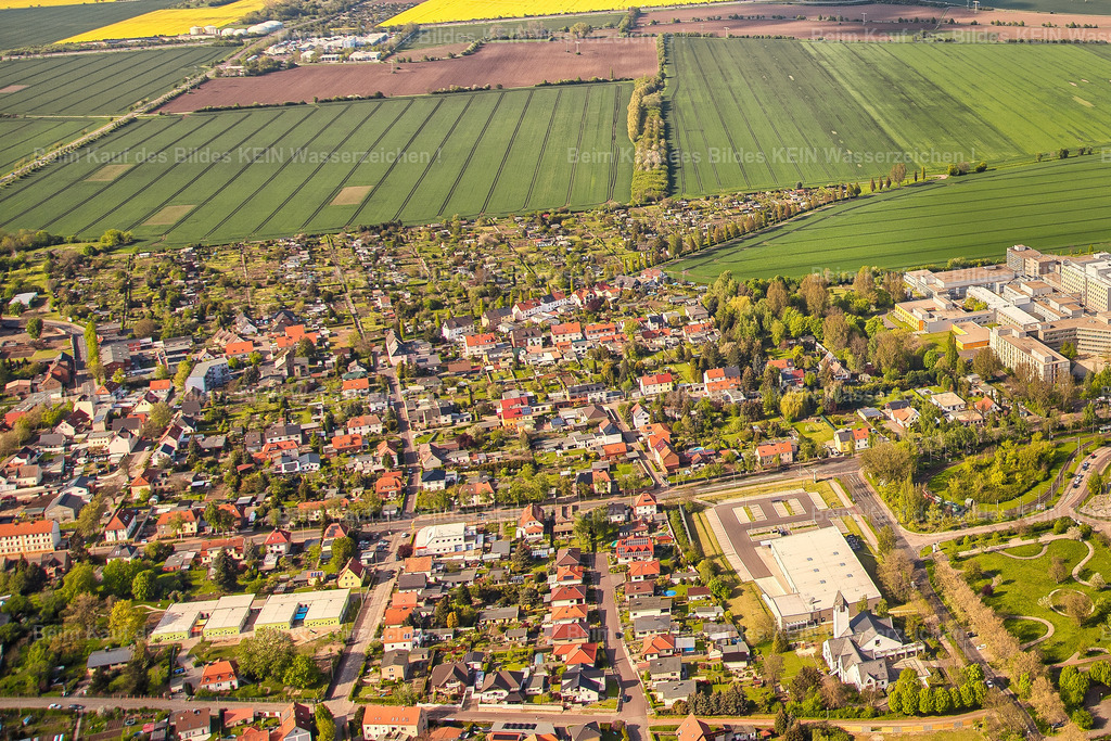 Magdeburg_2023_Birkenallee_Olvenstedt-3215 | Magdeburg Olvenstedt - Realisiert mit Pictrs.com